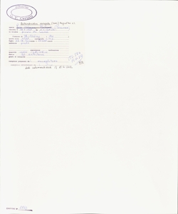 Bellardiochloa variegata (Lam.) Kergu¿len s.l.