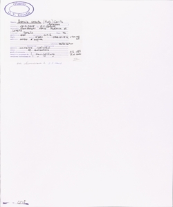 Berula erecta (Huds.) Coville