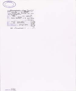 Calamagrostis villosa (Chaix) J.F. Gmel.