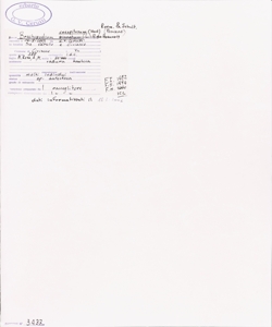Brachypodium caespitosum (Host) Roem. & Schult.