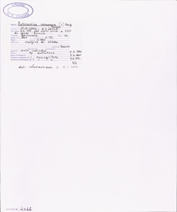 Bothriochloa ischaemum (L.) Keng