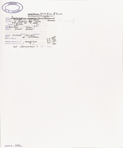 Brachypodium caespitosum (Host) Roem. & Schult.