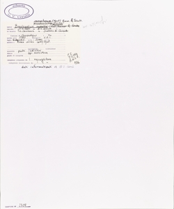 Brachypodium caespitosum (Host) Roem. & Schult.