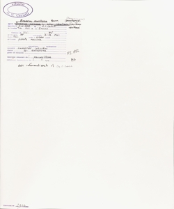 Brassica montana Pourr.