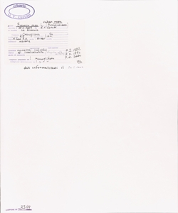 Brassica rapa L. subsp. rapa