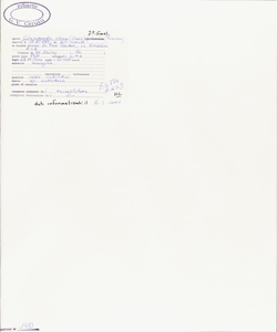 Calamagrostis villosa (Chaix) J.F. Gmel.