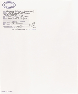 Campanula latifolia L.