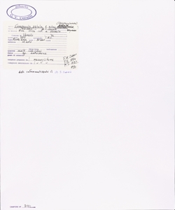 Campanula patula L. subsp. patula