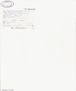 Campanula rapunculoides L. subsp. rapunculoides