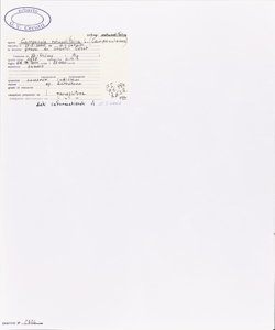 Campanula rotundifolia L. subsp. rotundifolia