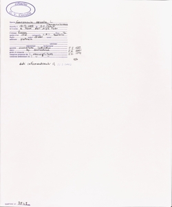 Campanula spicata L.