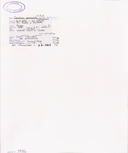 Carduus personata (L.) Jacq. subsp. personata