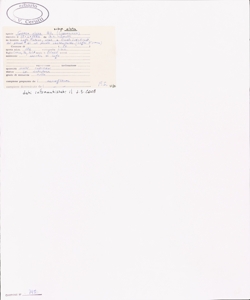 Carex elata All. subsp. elata