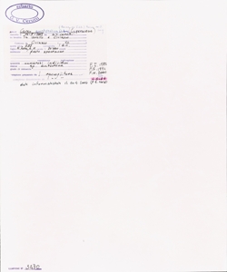 Carex guestphalica (Boenn. ex Rchb.) Boenn. ex O. Lang