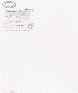 Carex nigra (L.) Reichard subsp. nigra