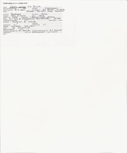 Carex pairae F.W. Schultz