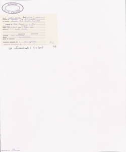 Carex pairae F.W. Schultz