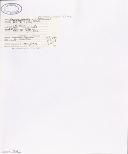 Carlina acaulis L. subsp. caulescens (Lam.) Sch¿bl. & G. Martens