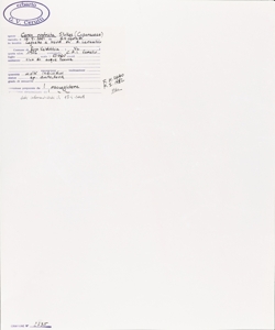 Carex rostrata Stokes