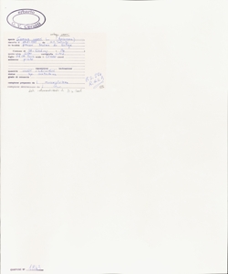 Carum carvi L. subsp. carvi