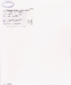 Centaurea scabiosa L. subsp. scabiosa