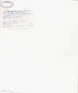 Cirsium arvense (L.) Scop.