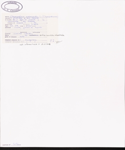 Chenopodium ambrosioides L.