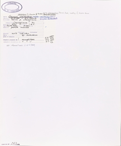 Coincya monensis (L.) Greuter & Burdet subsp. cheiranthos (Franco) Aedo, L