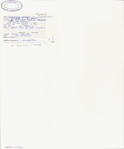 Convolvulus sabatius Viv. subsp. sabatius