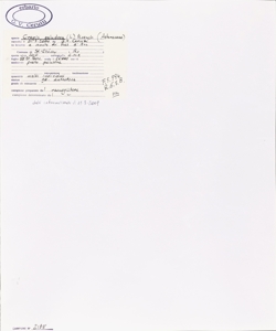 Crepis paludosa (L.) Moench