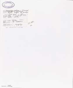 Crucianella latifolia L.