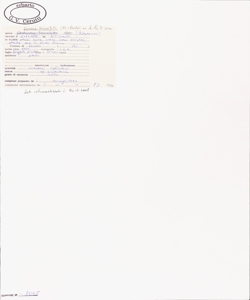 Cyanus triumfetti (All.) Dost¿l ex ¿. & D. L¿ve