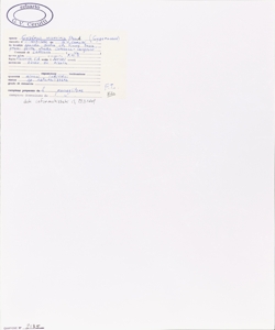 Cyperus microiria Steud.