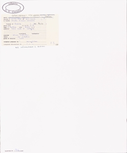 Cytisus nigricans L. subsp. nigricans