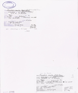 Dryopteris remota (A. Braun ex D¿ll) Druce