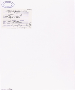 Digitaria sanguinalis (L.) Scop. s.l.