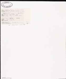 Dipsacum fullonum L.