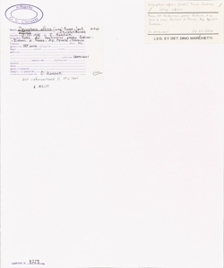 Dryopteris affinis (Lowe) Fraser-Jenk. subsp. affinis