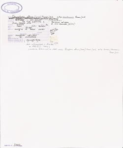 Dryopteris affinis (Lowe) Fraser-Jenk. subsp. cambrensis Fraser-Jenk.