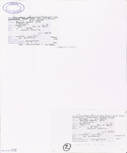 Dryopteris affinis (Lowe) Fraser-Jenk. subsp. cambrensis Fraser-Jenk.