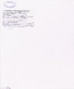 Dryopteris carthusiana (Vill.) H.P. Fuchs