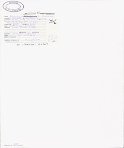 Epilobium alsinifolium Vill.