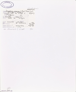 Dryopteris expansa (C. Presl) Fraser-Jenk. & Jermy