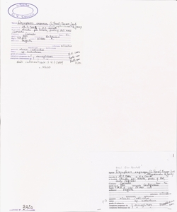Dryopteris expansa (C. Presl) Fraser-Jenk. & Jermy