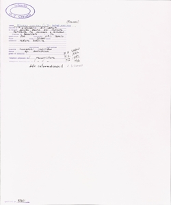 Elymus caninus (L.) L. subsp. caninus