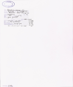 Epilobium dodonaei Vill.