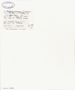 Epilobium montanum L.