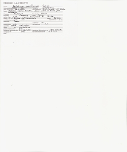 Epilobium parviflorum Schreb.