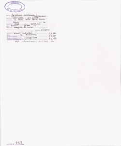 Epilobium montanum L.