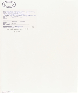 Equisetum pratense Ehrh.